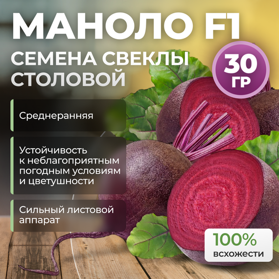 МАНОЛО F1 семена свеклы (Bejo | Alexagro) – фото 6