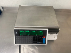 Весы DIGI SM-100S