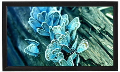 Экран Viewscreen Omega OMG-16904