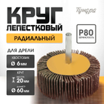 Круг лепестковый радиальный ТУНДРА, 60×20×6 мм, Р80