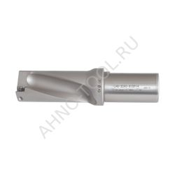 Сверло корпусное C40-2D43-91SP014 ACCKee