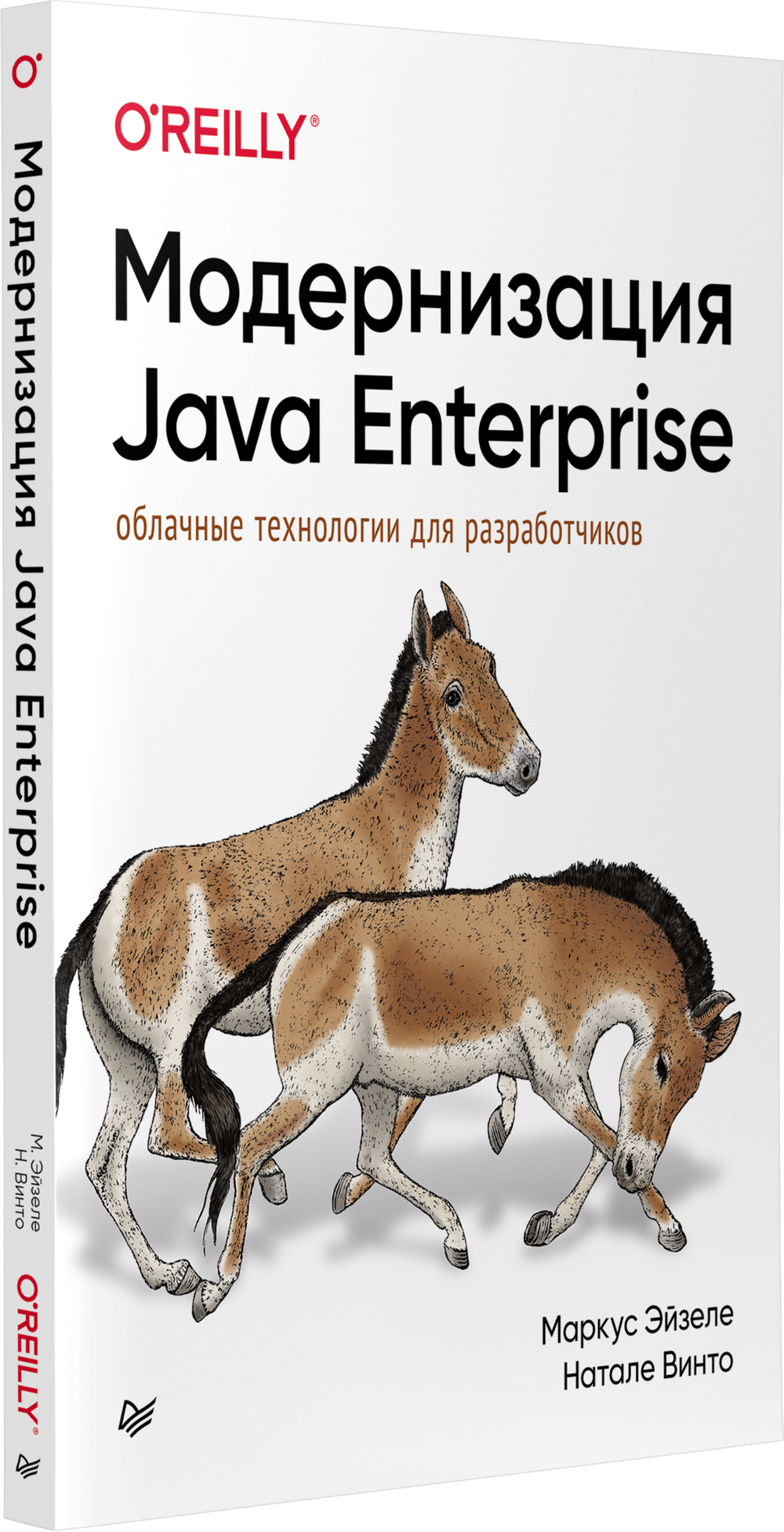 Модернизация Java Enterprise: облачные технологии для разработчиков