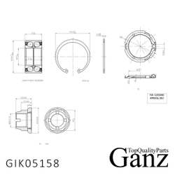 Подшипник ступицы передний RENAULT Logan /ABS+ (88 магнитов) GANZ GIK05158