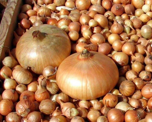 Штуттгартен