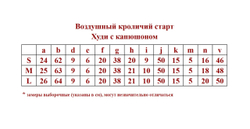 ✨Pink Savior Воздушный кроличий старт - Худи с капюшоном✨