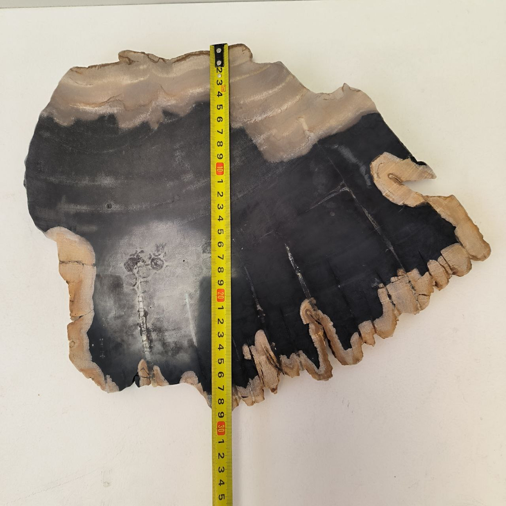 Набор из окаменелого дерева 4 предм Fossil Set NF-63292 поднос 149