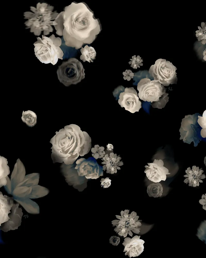 Мюриэл миди (Muriel миди), юбка миди из черного атласа с цветочным принтом и отделкой кружевом