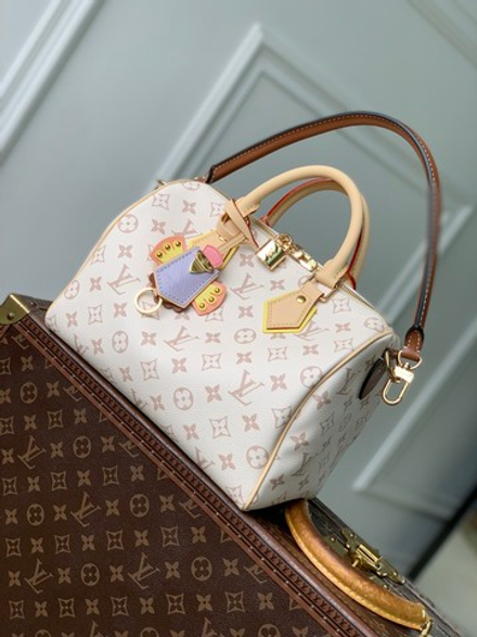 Louis Vuitton Speedy Bandouliere 25