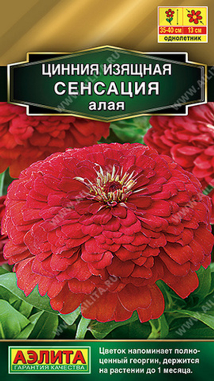 Цинния "G. Сенсация алая" 12шт., Россия.