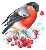 Плакат вырубной А4 230х220мм двухсторонний "Снегирь" (Сфера)