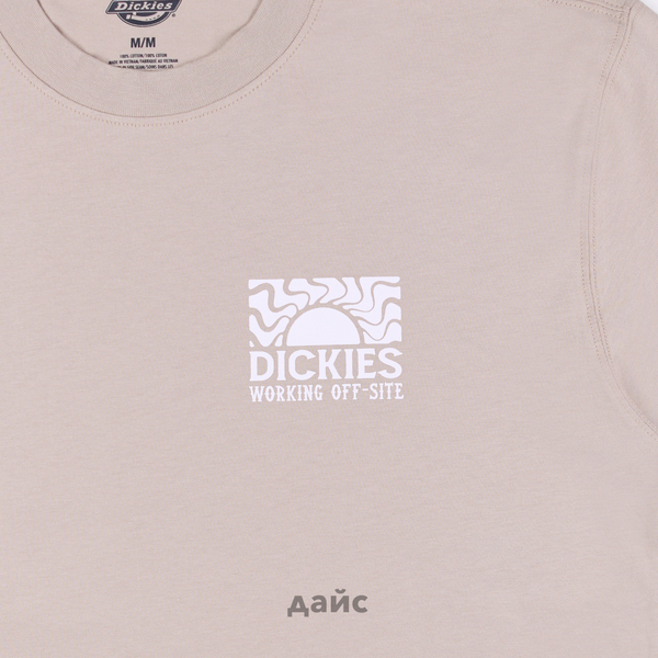 Футболка мужская Dickies Saltville Tee артикул:DK0A4YR9SS01 - купить в магазине Дайс