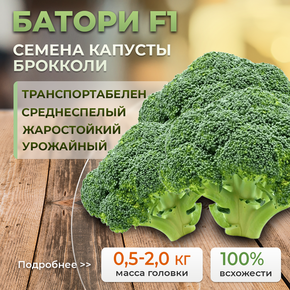 БАТОРИ F1 семена капусты брокколи (Syngenta | Alexagro)