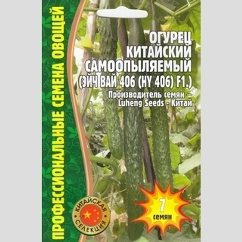 Огурец китайский самоопыляемый Эйч Вай 406