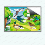 Комплект развивающий Природа: Перелётные птицы 2185