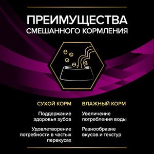 Влажный корм для кошек Pro Plan Veterinary Diets UR при болезни мочевыводящих путей c курицей, 85гр