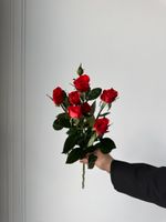 АКЦИЯ - красная кустовая роза - цена действует при заказе от 25шт