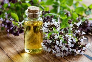 Эфирное масло Душица. 10 мл.