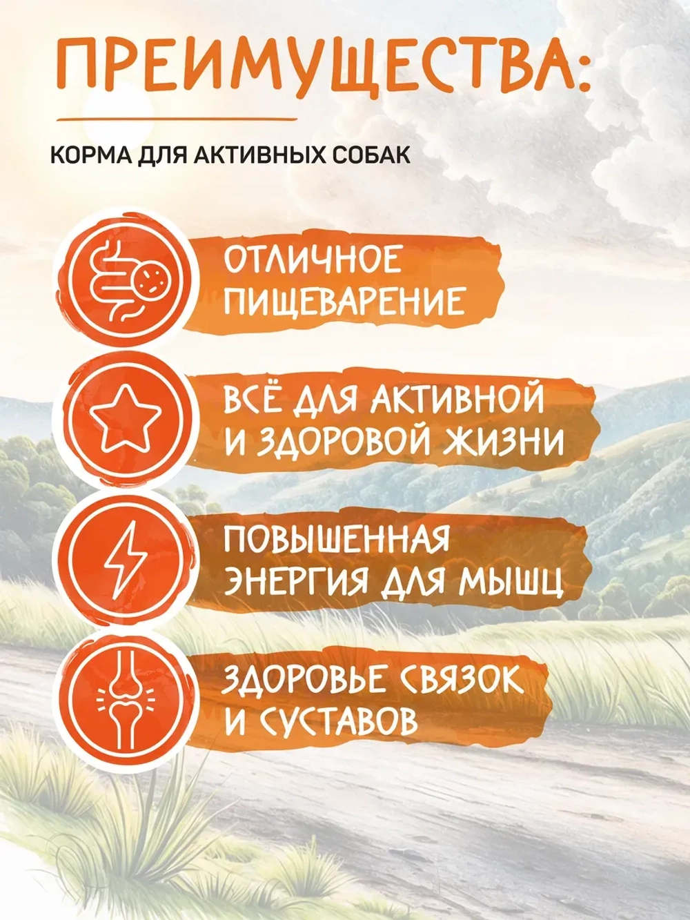 Fun корм для активных собак, говядина 2,5 кг