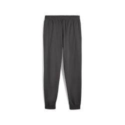 Брюки спортивные мужские PUMA ESS ELEVATED Pants FL cl