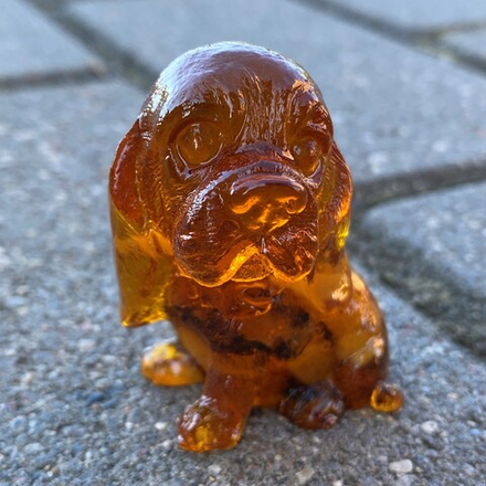 Собака глазастик бассет хаунд