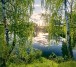 Фотообои Vostorg № 315 У озера 294х260см