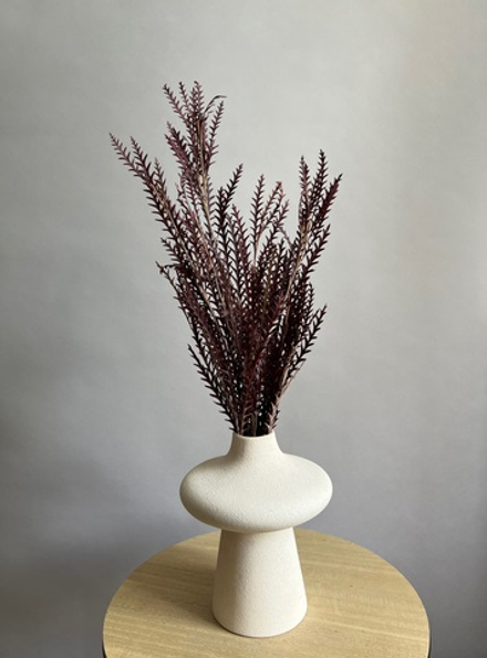 Иванхое красное