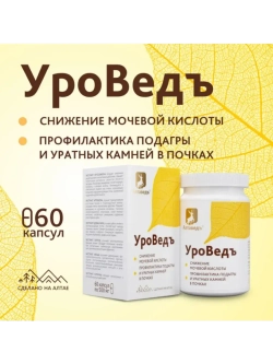 УроВедъ Для нормализации уровня мочевой кислоты Ортосифон