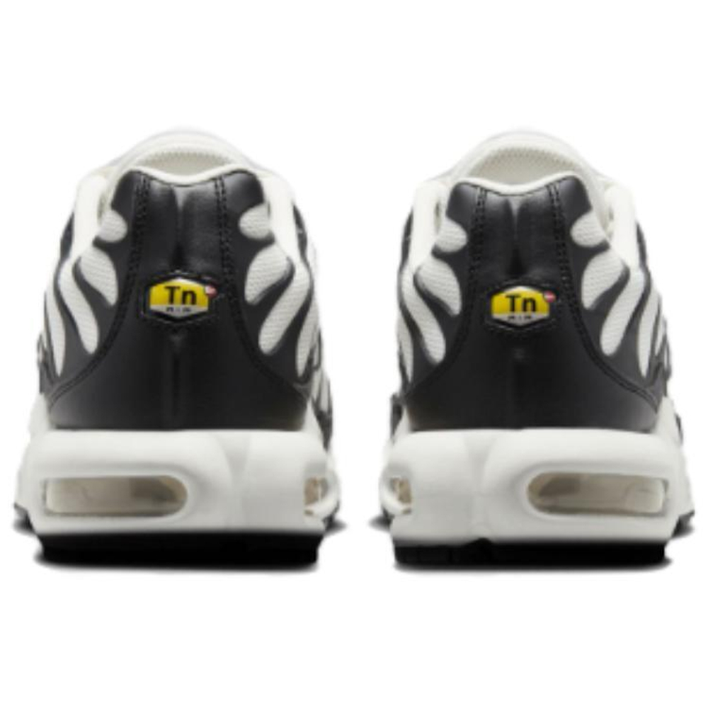 Кроссовки Nike Air Max Plus