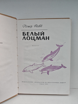 Белый лоцман