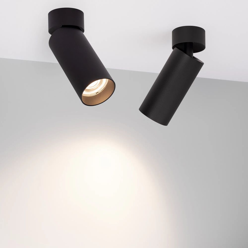 Светильник SP-GABI-SURFACE-FLAP-R60-12W Day4000 (BK, 36 deg, 230V) (Arlight, IP40 Металл, 5 лет) 049923