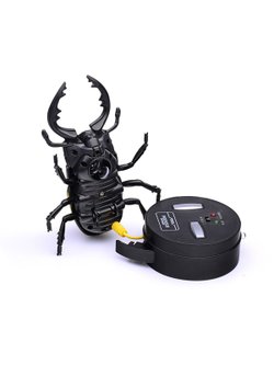 Игрушка Жук радиоуправляемый (9996EF)