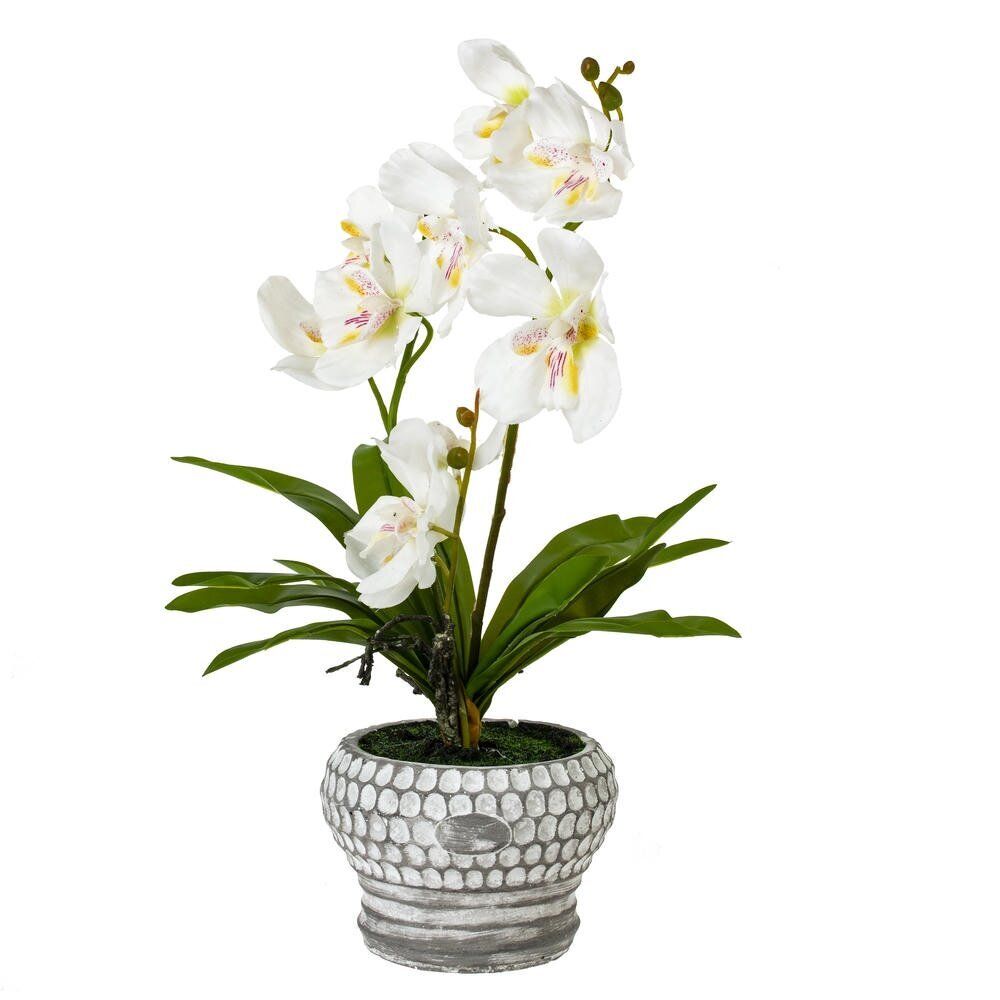 GAEM Цветочная композиция "Орхидея", L25 W23 H41 см