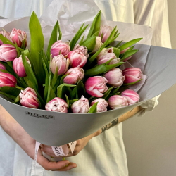 Букет из 25 пионовидных тюльпанов