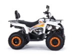 Квадроцикл бензиновый MOTAX GRIZLIK 200 ULTRA