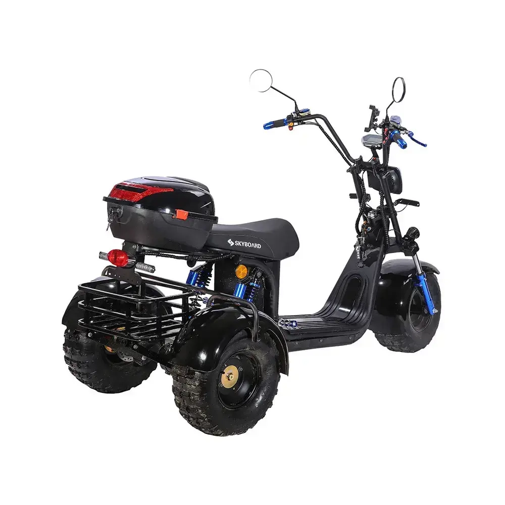 Skyboard TRIKE BR40-3000 PRO FAST OFF-ROAD