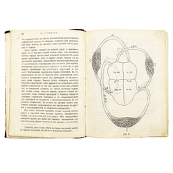 Сеченов И. М. Физиологические очерки. Конволют в 2.ч. № 8, № 9. СПб. Издание О. Н. Поповой. 1898