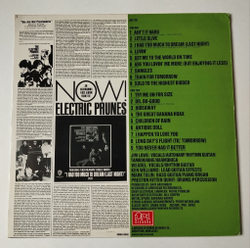 Винтажная виниловая пластинка LP The Electric Prunes Long Day's Flight (UK 1986)