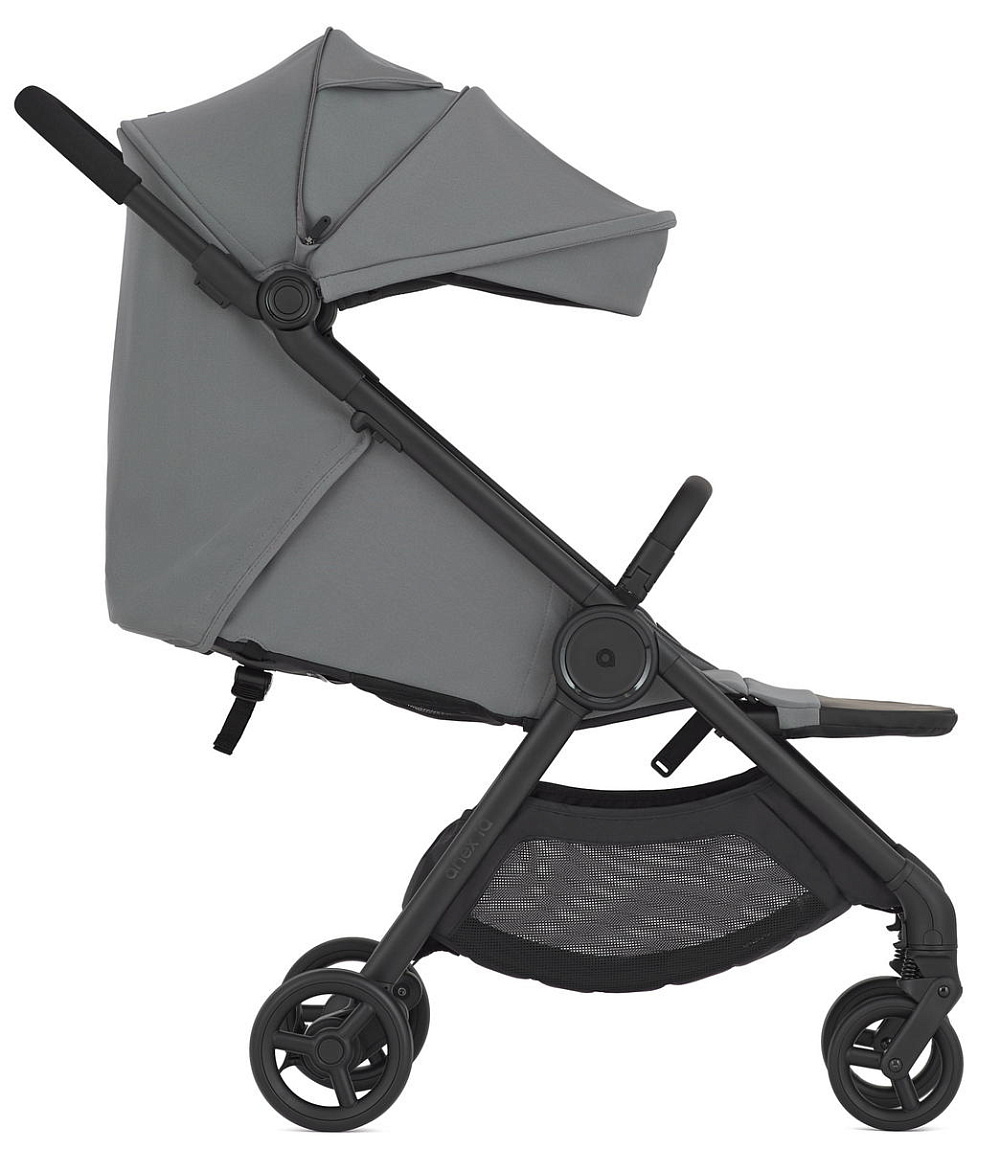 Детская коляска Anex iQ Basic NT 2 в 1 Loft