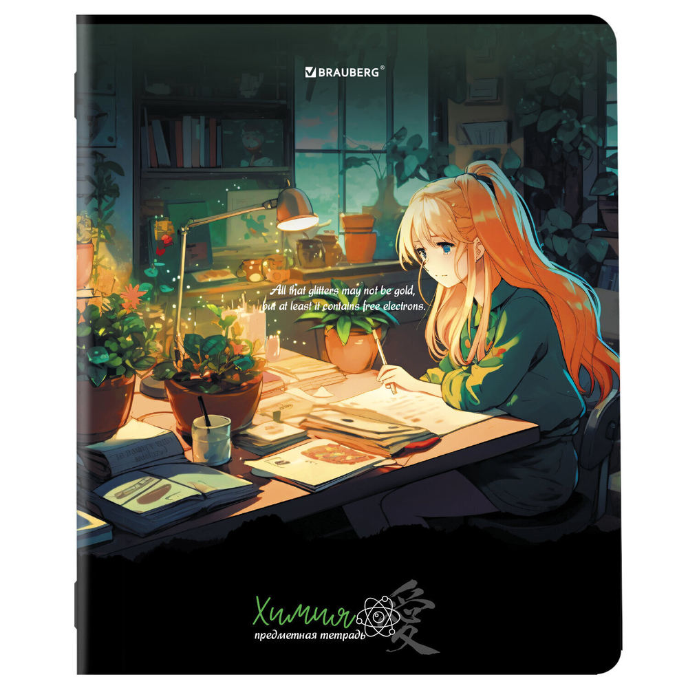 Тетради предметные комплект 12 ПРЕДМЕТОВ 48 л. матовая ламинация BRAUBERG "ANIME GIRLS" (2 штуки в упаковке)