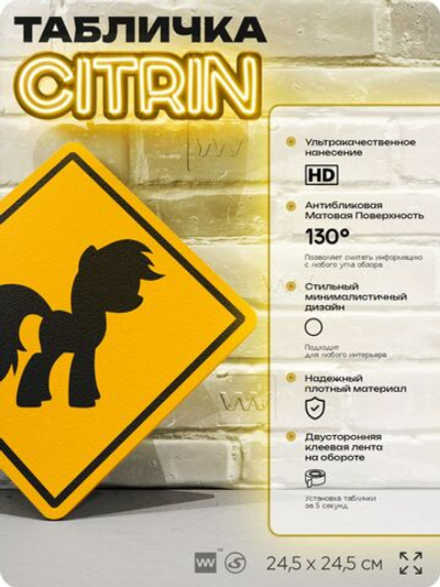 Табличка "Осторожно, пони" шуточная прикольная табличка на дверь и стену, для офиса и дома, декоративный знак, 24,5х24,5 см, пластиковая, Айдентика Технолоджи