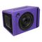 DL Audio Piranha 12A V2 Purple