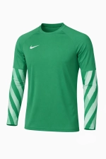 Вратарская кофта Nike Dri-FIT Park V GK Детская - зеленый