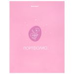 Папка-портфолио универсальная, 4 кольца, 20 файлов, 7БЦ матовая, BRAUBERG, "Gentle", 117558