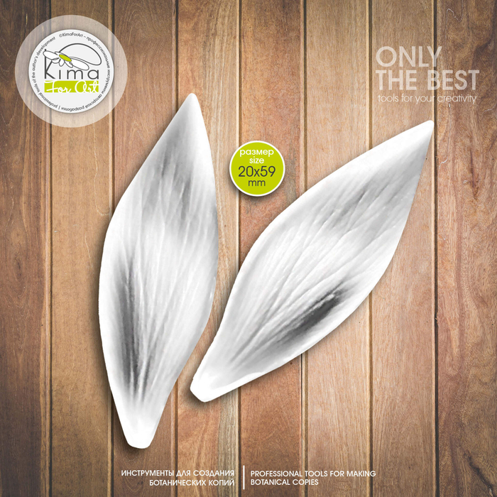 Протея лепесток