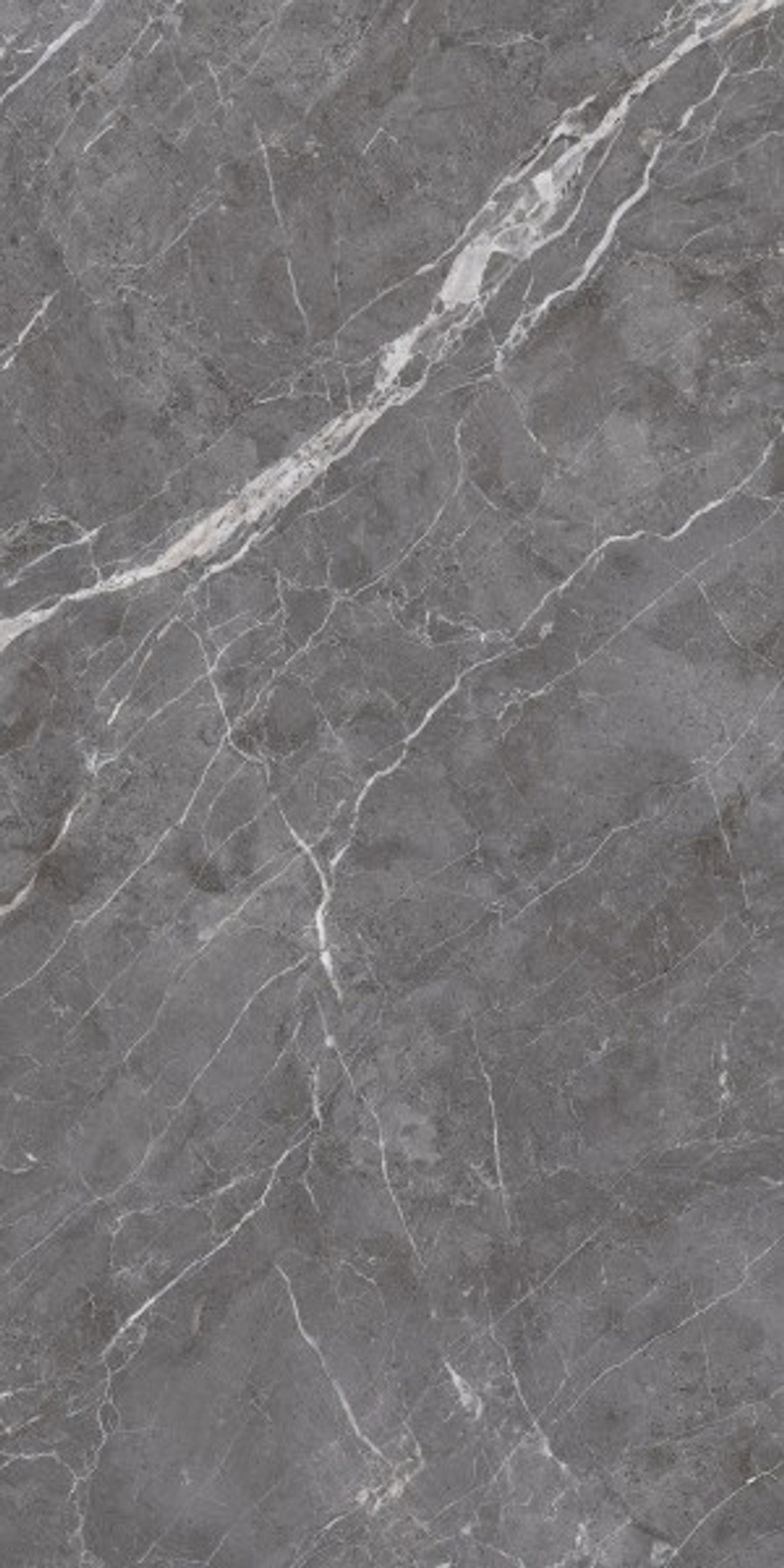 ESPERIA GRIGIO LAPPATO CL4003-A