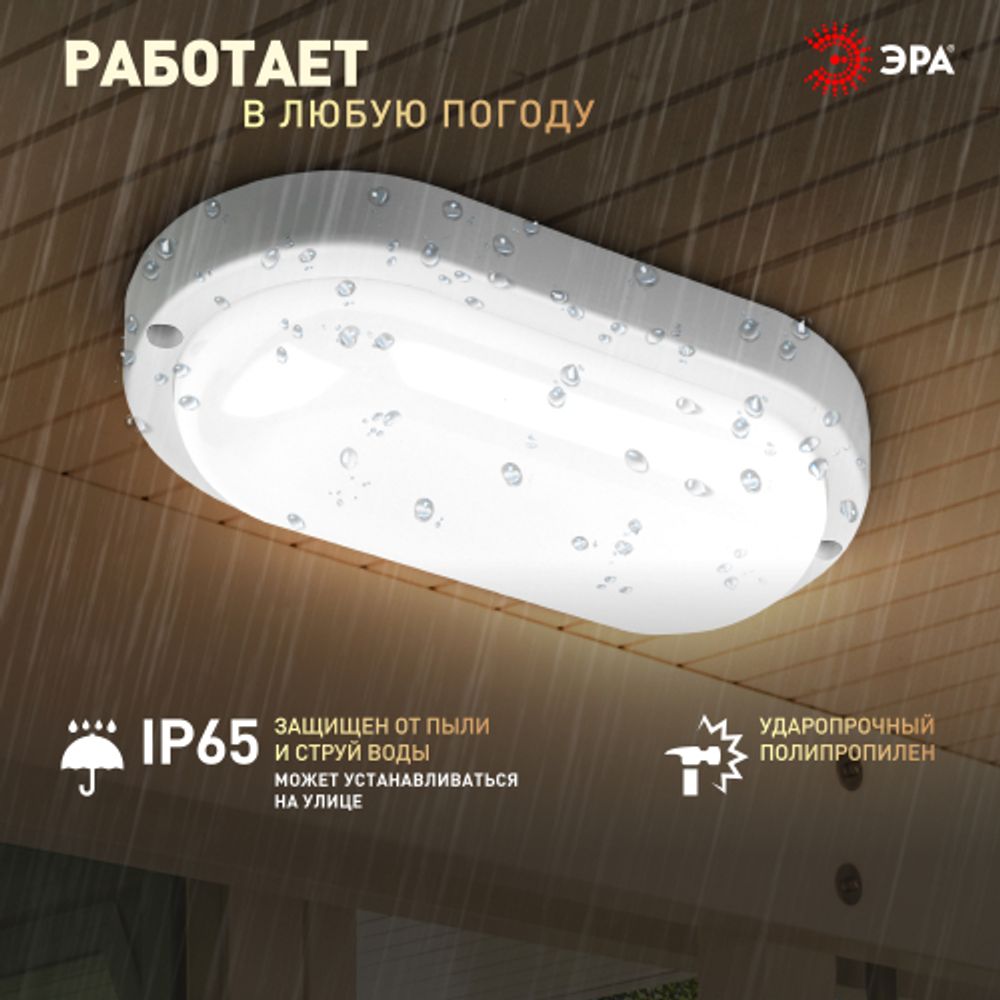 Светильник ЖКХ светодиодный ЭРА SPB-202-0-40K-012 IP65 12Вт 4000К 195x95 овал | Светильники для ЖКХ IP65