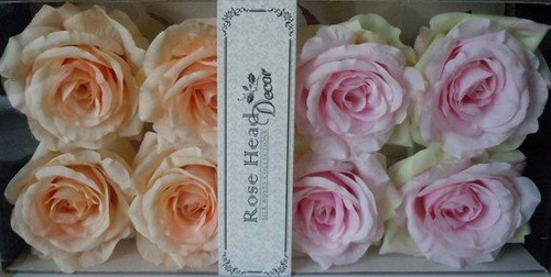 Набор из 8 головок роз персиковый/розовый