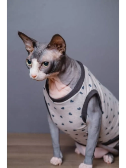 Майка для собак и кошек