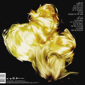 Sia / 1000 Forms Of Fear (LP)