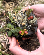 Земляная Свеча. Большая Черная. Материализация. Очищение и Гармония + ПОДАРОК